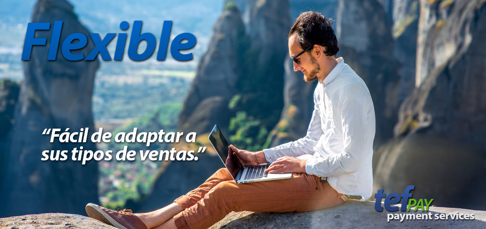 pasarela de pago online flexible